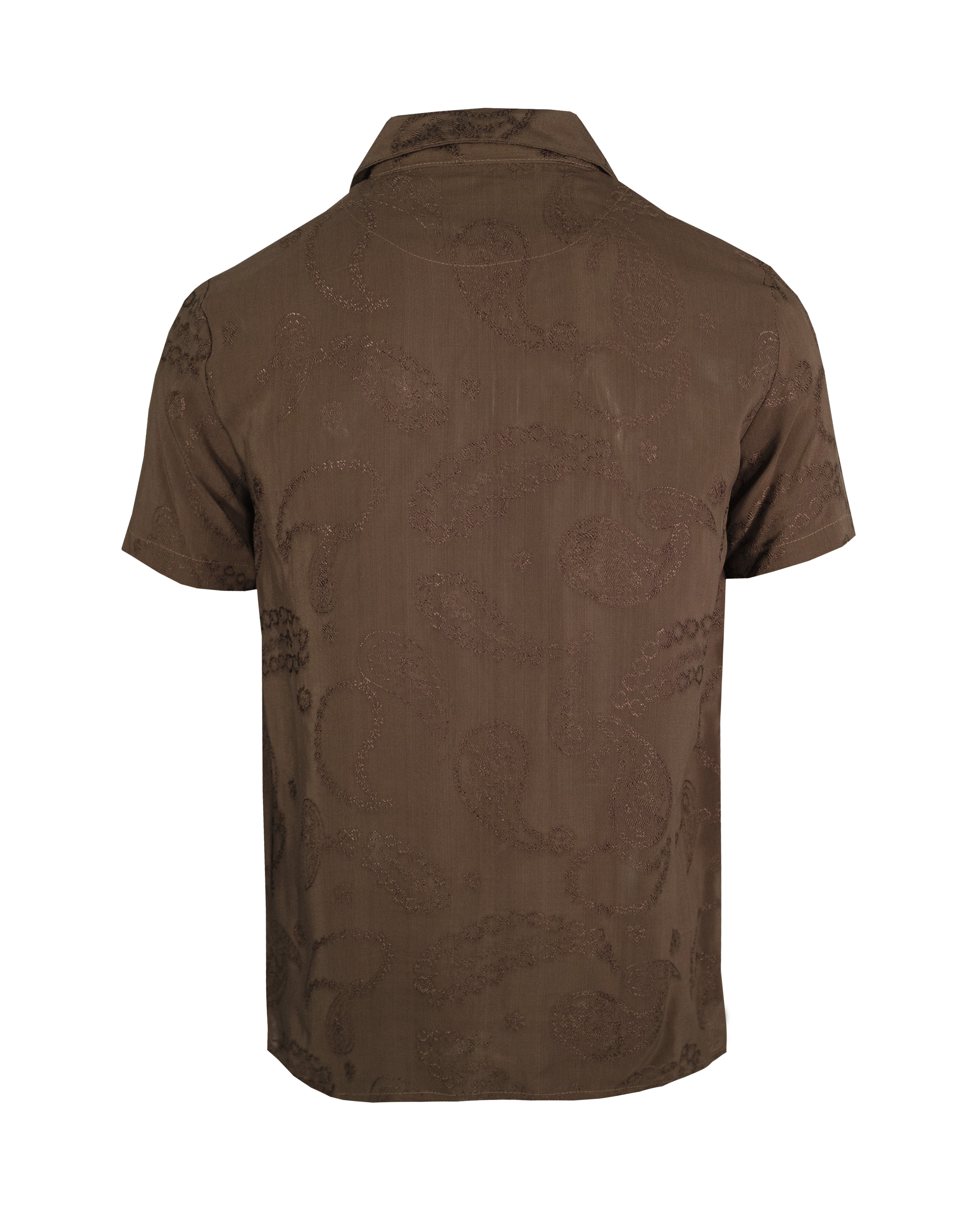 Camisa Sport 2304 Café Amibas Transparencia