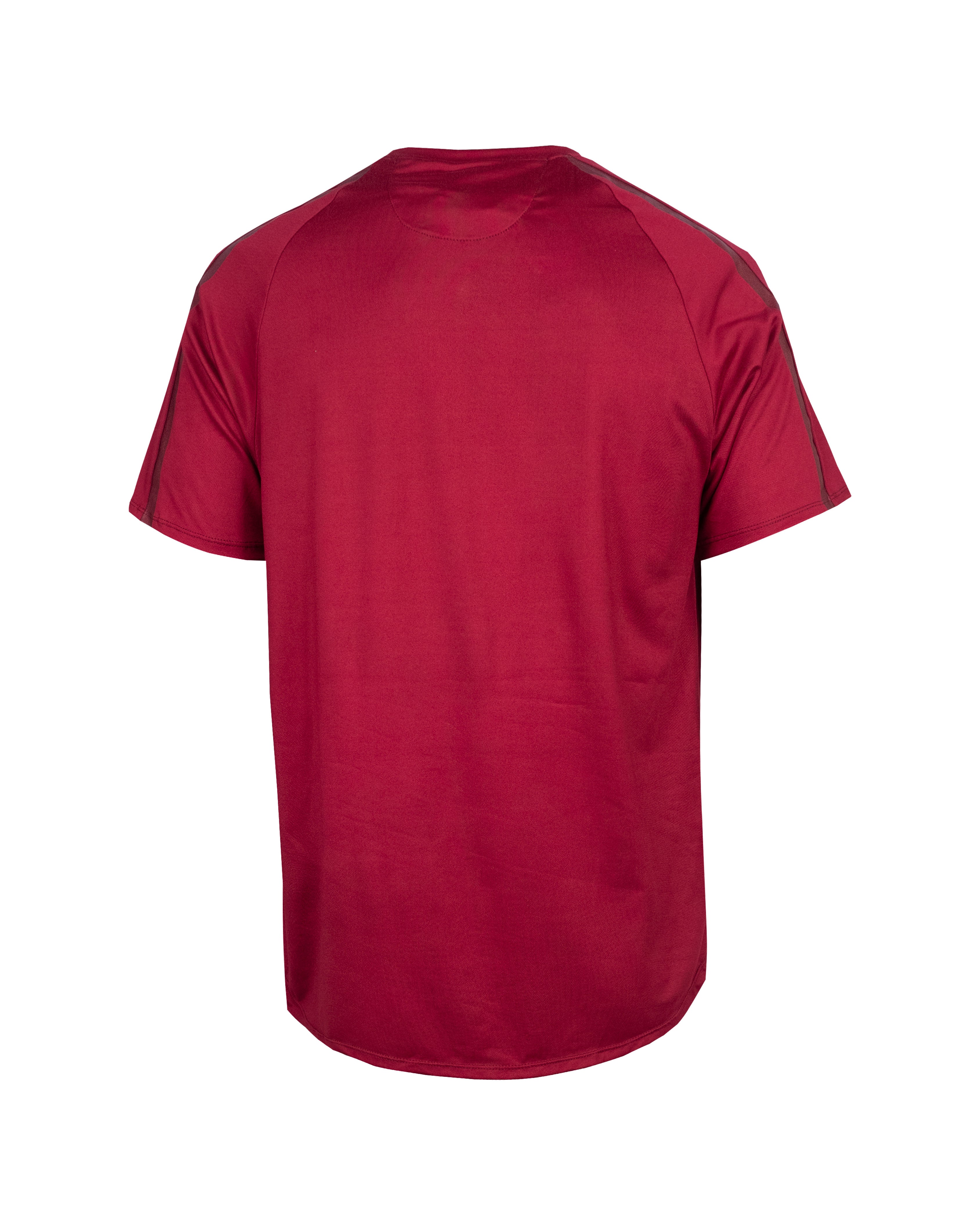 Playera Manga Ranglan Line Vinil 2005 Tinta