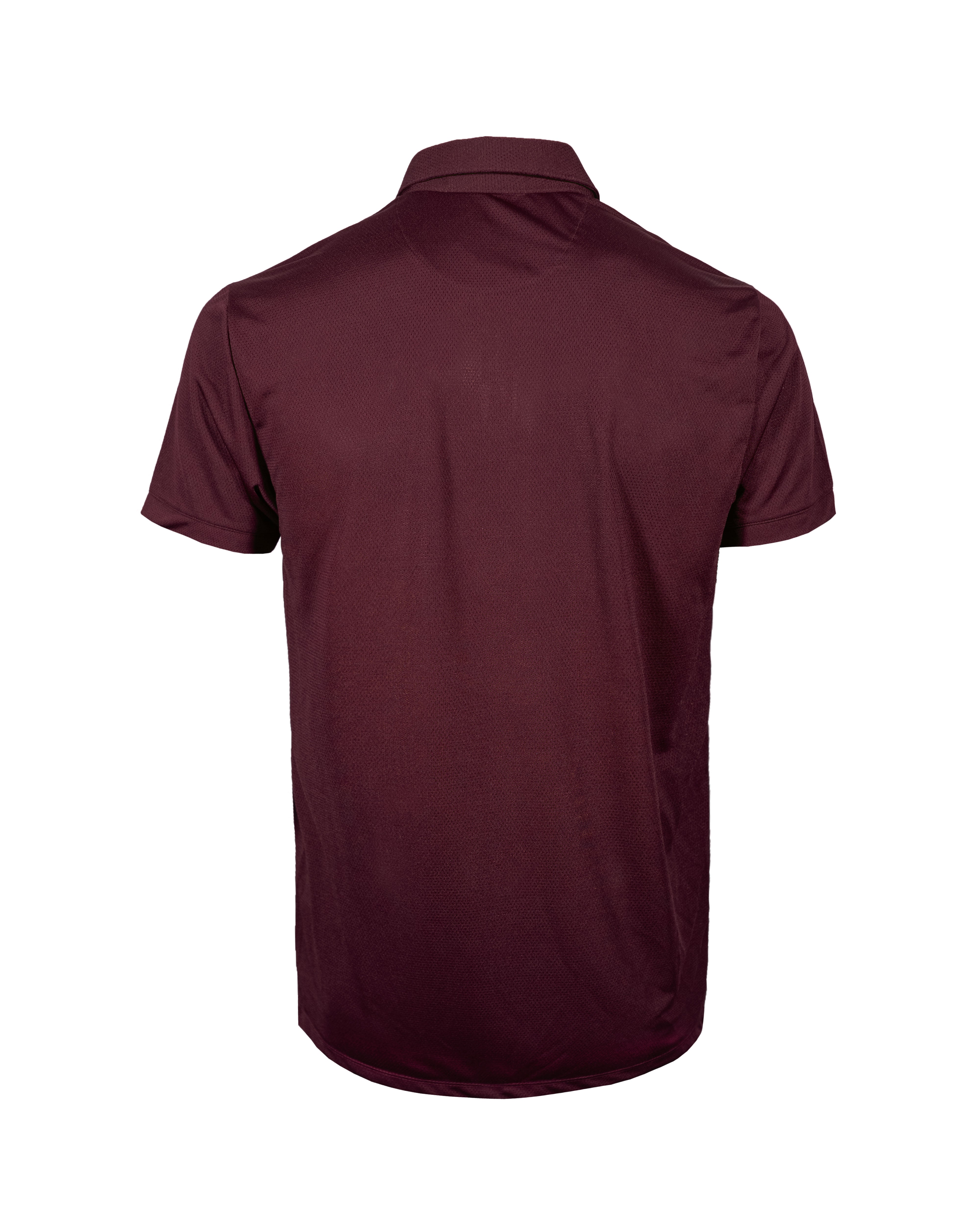Polo tinta 2342
