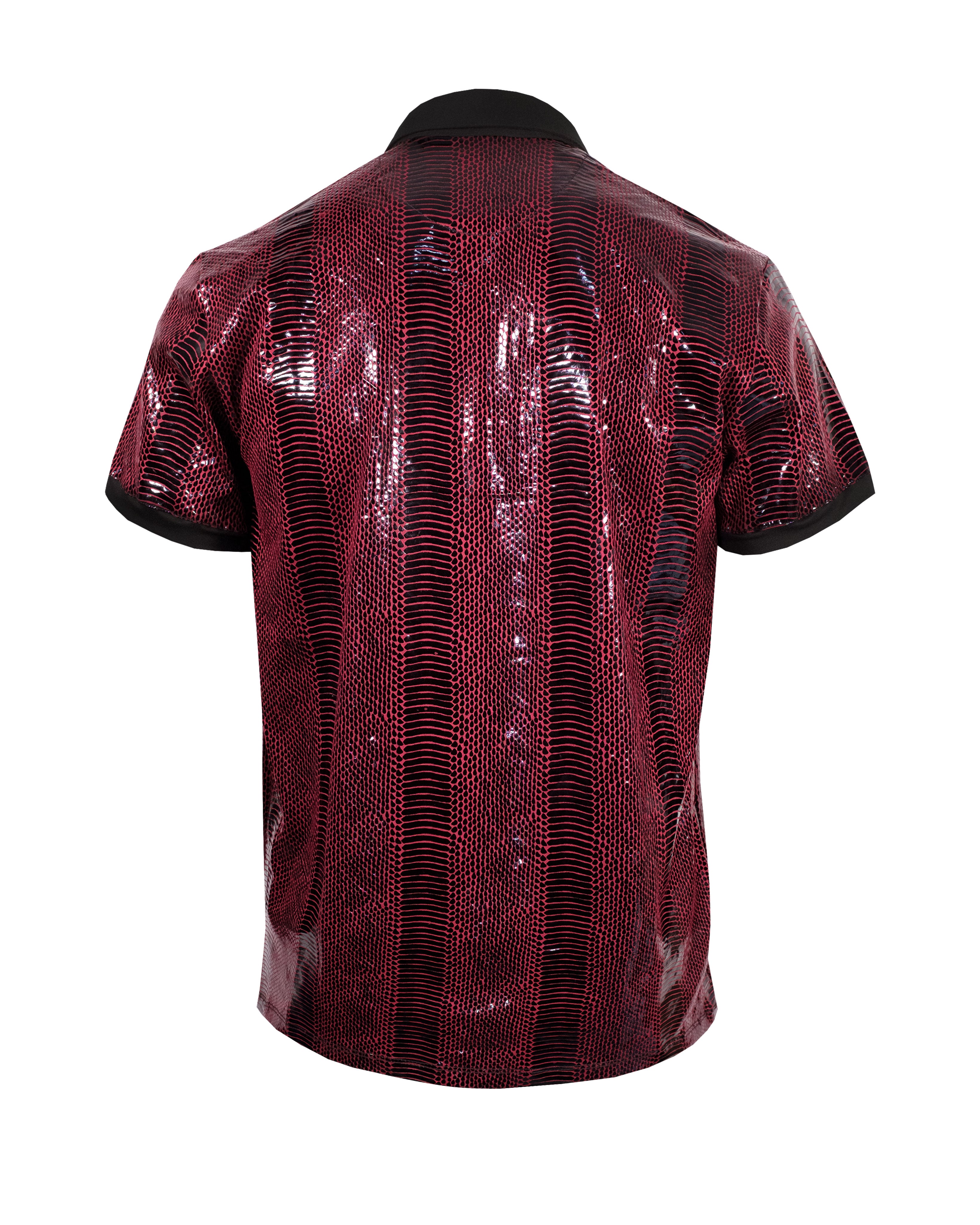 Polo Snake 2085 Tinto
